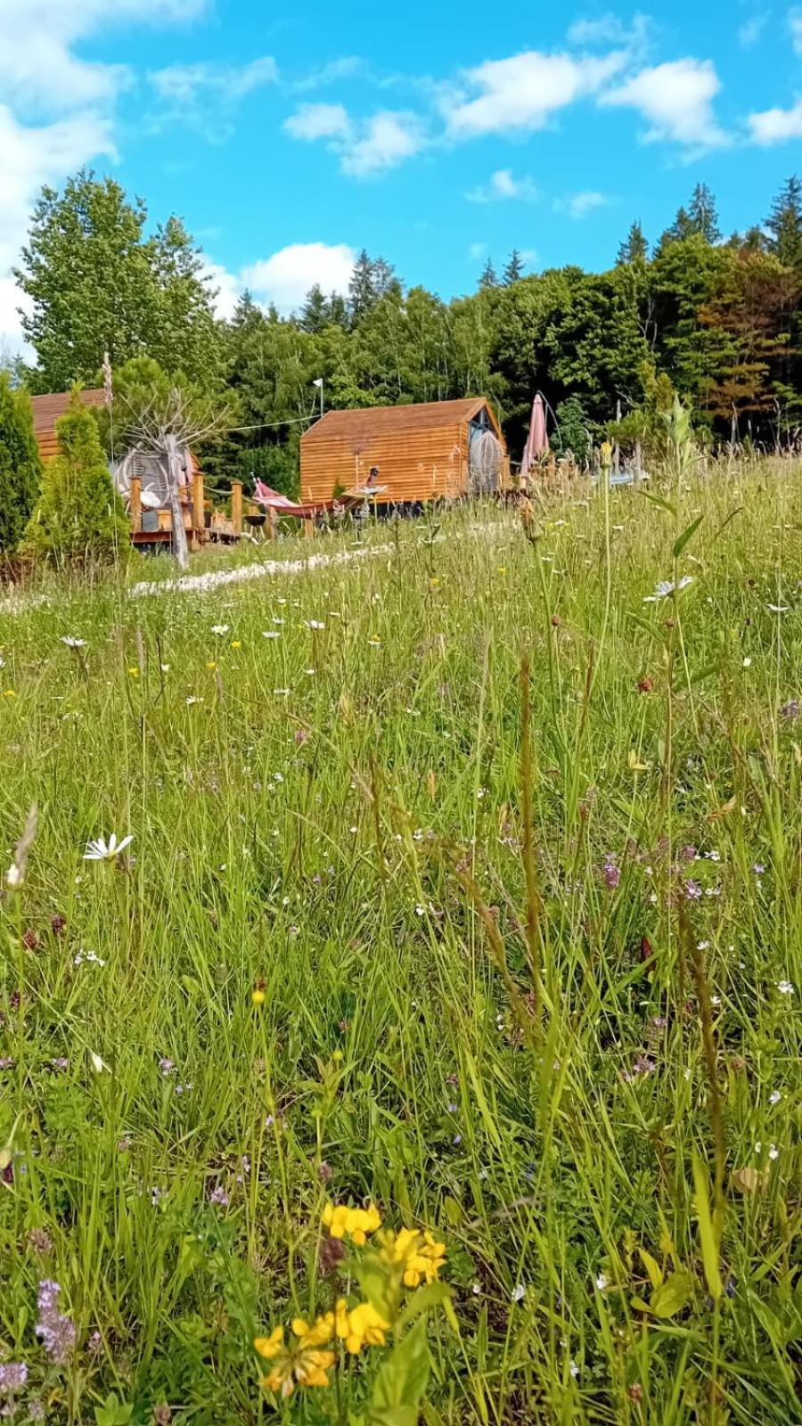 My Little Village Пояна-Мэрулуй Экстерьер фото